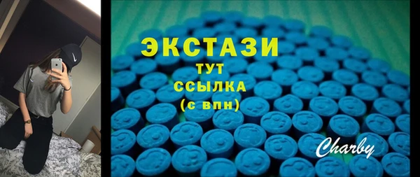 гашик Инта