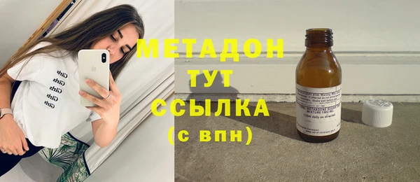 прущие грибы Инсар