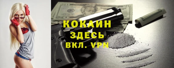 гашик Инта