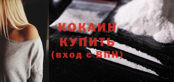 прущие грибы Инсар