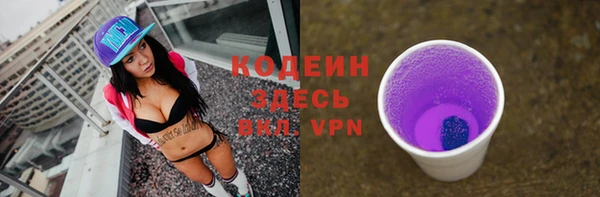 прущие грибы Инсар