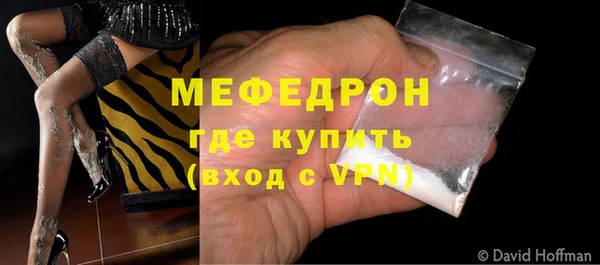 прущие грибы Инсар