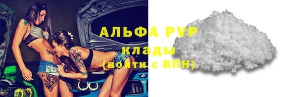гашик Инта