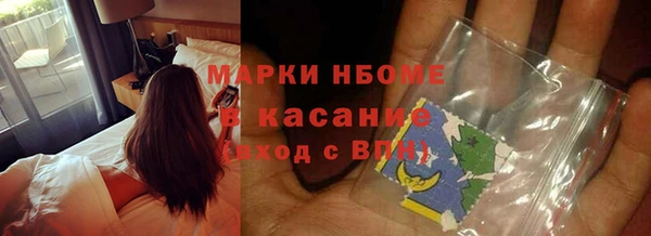 гашик Инта
