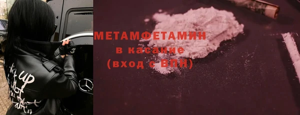 прущие грибы Инсар