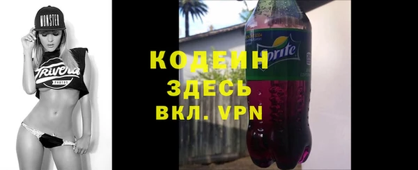 прущие грибы Инсар