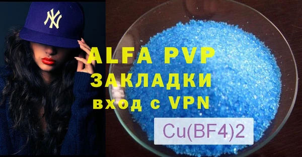 гашик Инта