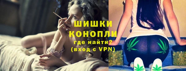 прущие грибы Инсар